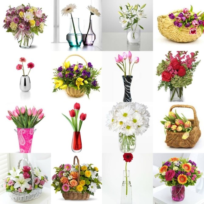 FLORANTHROPY: A BEAUTIFUL INITIATIVE